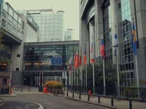 Euronews: Germania, Italia şi Belgia cer o „frână de urgenţă” pentru noile legi ale UE